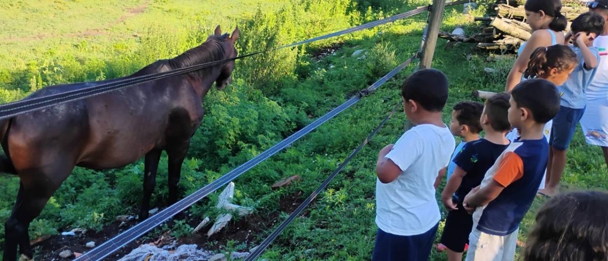 Una vacanza a servizio